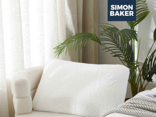 Aloe Vera memory Foam Pillow